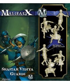 Shastar Vidiya Guards